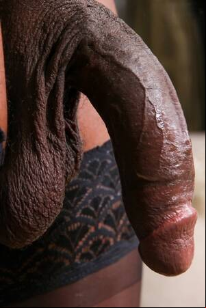 big cock black transsexuals - Big Dick Black Shemale Porn Pics - PornPics.com